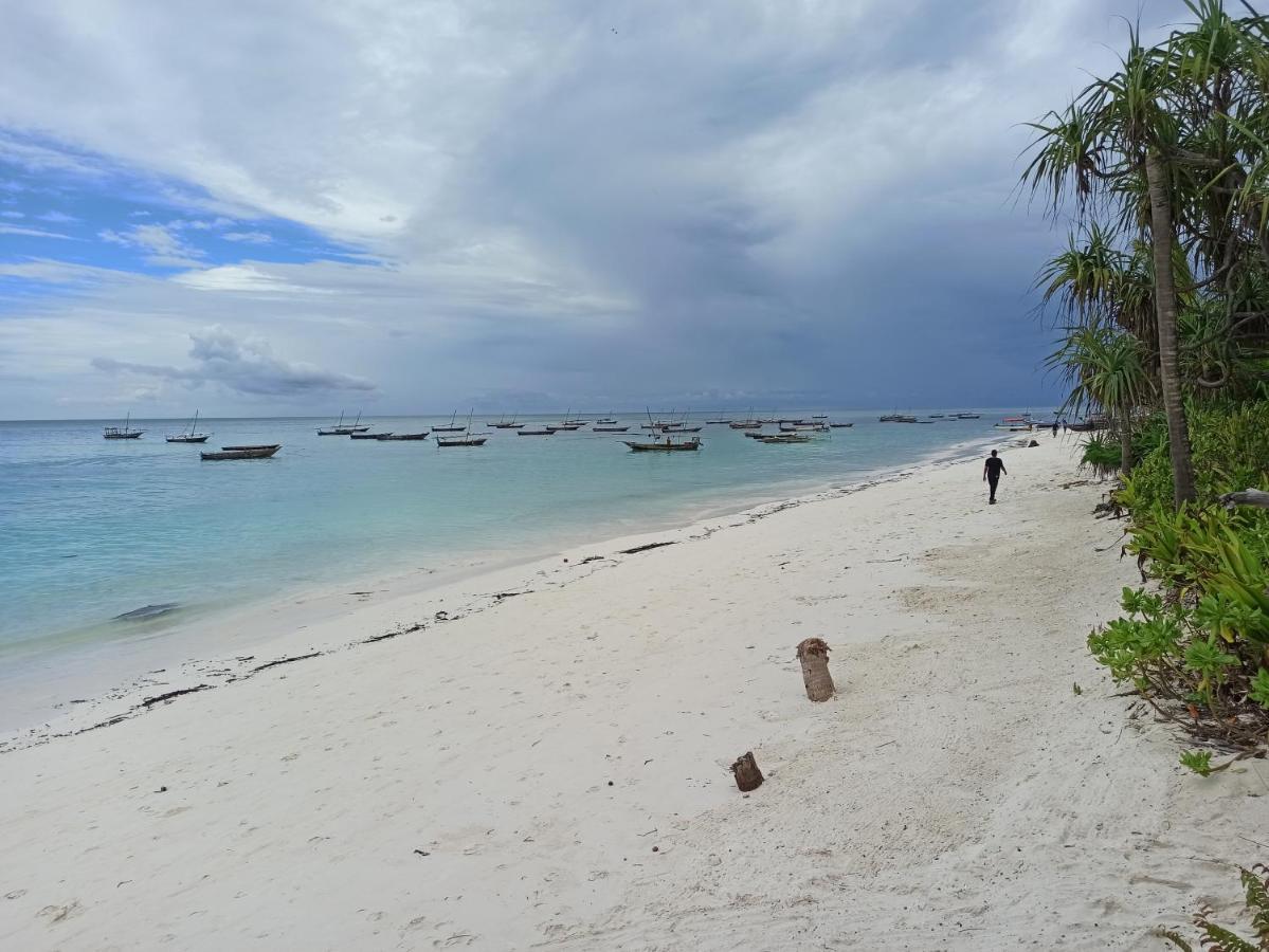 Cocolala Beach House Nungwi Luaran gambar