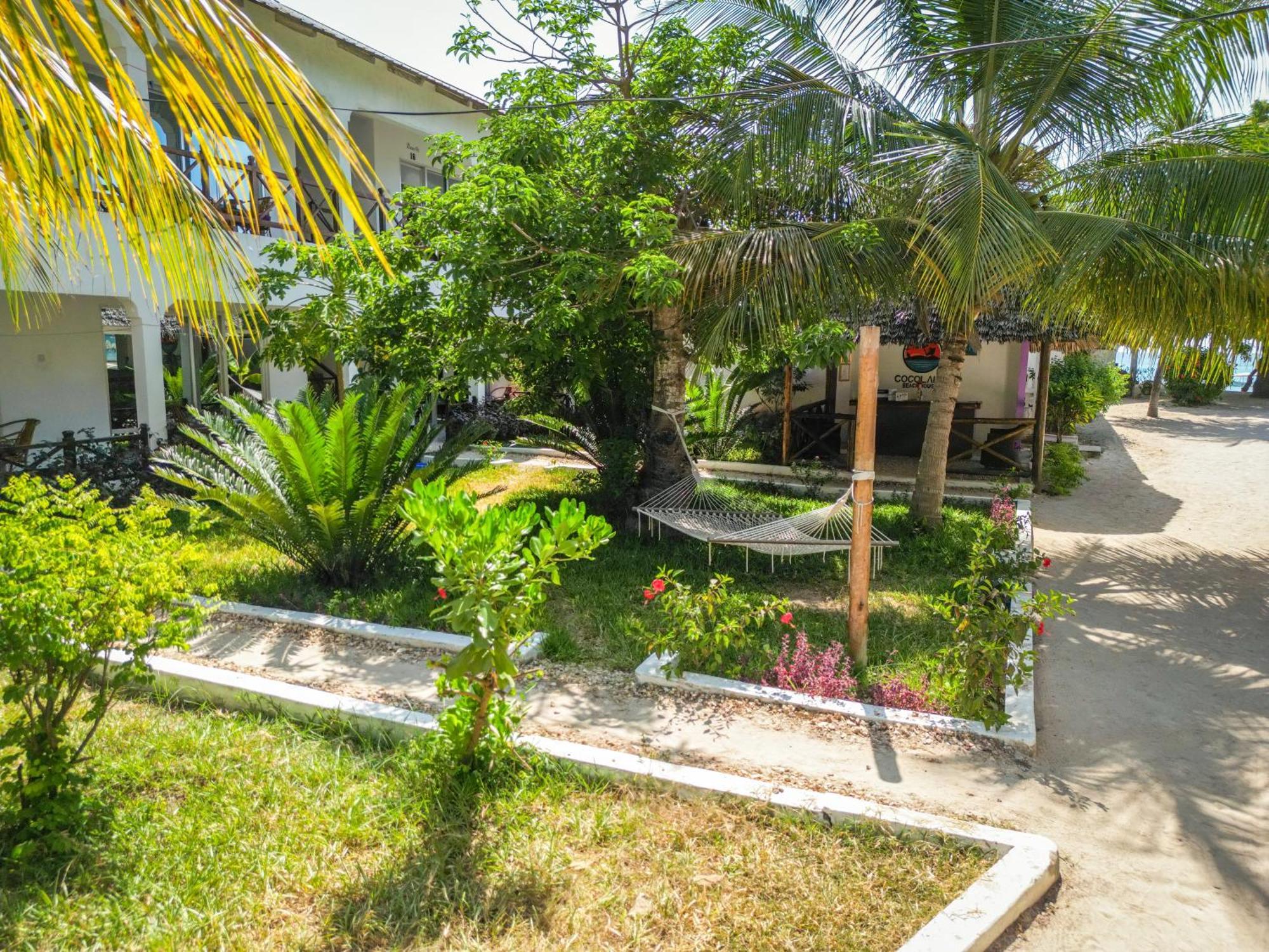 Cocolala Beach House Nungwi Luaran gambar